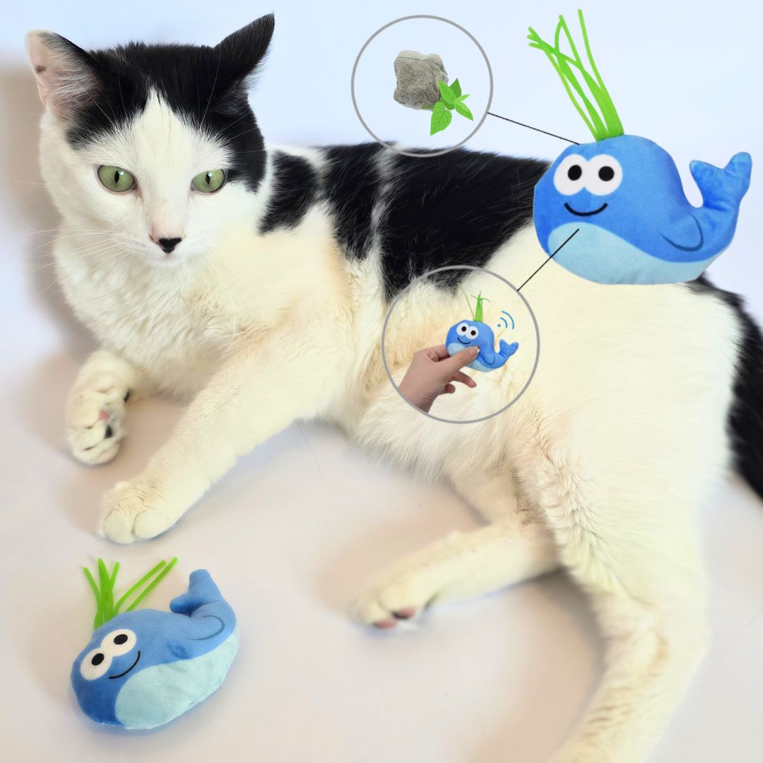 Interactive Catnip Toys for Indoor and Outdoor Cats Set of 6 Soft and Durable Stuffed Sea Animal Plush Toys, Crinkle Sound Cat Kicker Toys, Perfect for Promoting Kitten Exercise and Ideal Gifts for Cat Lovers